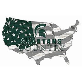 Michigan State University USA Shape Flag Cutout