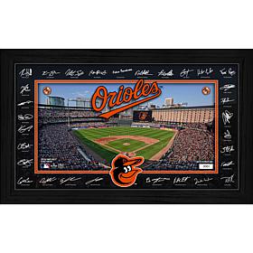 MLB Baltimore Orioles 2026 Signature Field Frame
