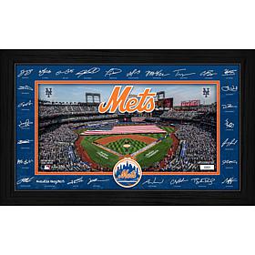 MLB New York Mets 2026 Signature Field Frame