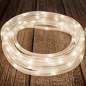 Nature Spring Outdoor 100 LED Solar Rope Light with 8 Modes