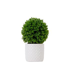 Nearly Natural 10 in. Boxwood Topiary with Decorative Planter