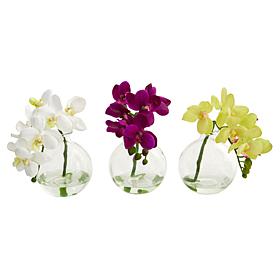 Nearly Natural 10" Phalaenopsis Pot Set of 3