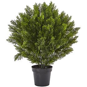 Nearly Natural 3' Cedar Bush Indoor/Outdoor