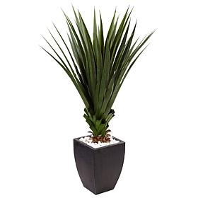 Nearly Natural 4.5' Spiked Agave in Black Planter Indoor/Outdoor