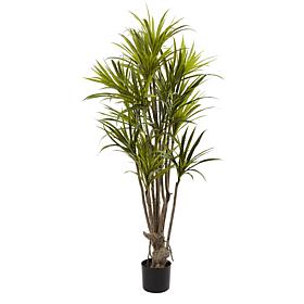 Nearly Natural 5 ft. Dracaena Tree
