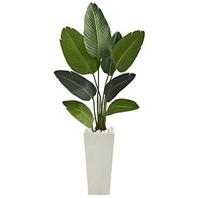 Nearly Natural 5’ Travelers Palm Artificial Tree in Tall White Planter