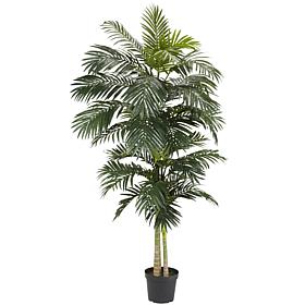 Nearly Natural 8 ft. Golden Cane Palm Tree