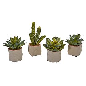 Nearly Natural Mixed Succulent Artificial Plant Set of 4