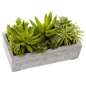 Nearly Natural Silk Succulent Garden with Concrete Planter