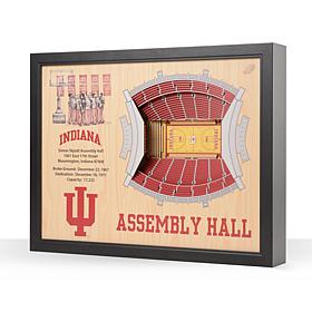 Officially Licensed NCAA 25-Layer 3-D Wall Art - Indiana Hoosiers
