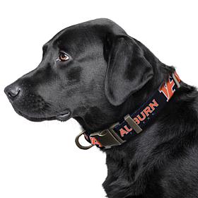 Officially Licensed NCAA Auburn Tigers Premium Pet Collar