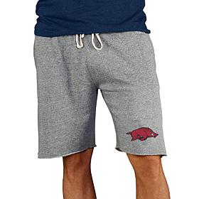 Officially Licensed NCAA Mainstream Men's Knit Short - Arkansas 
