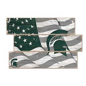 Officially Licensed NCAA Michigan State Three Plank Flag