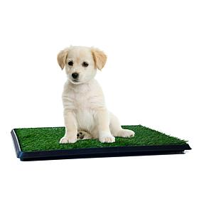Pet Adobe Puppy Faux Grass Potty Trainer Mat - Small