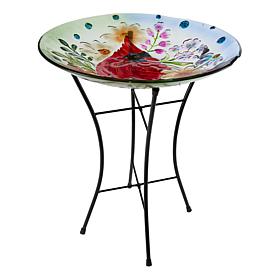 Plow & Hearth Glass Bird Bath