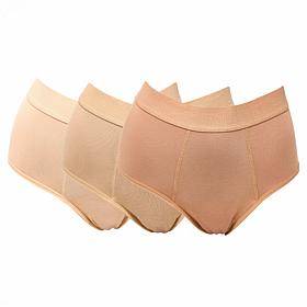 Rhonda Shear 3-pack Shear Protection Leak-Resistant Bamboo-Blend Brief