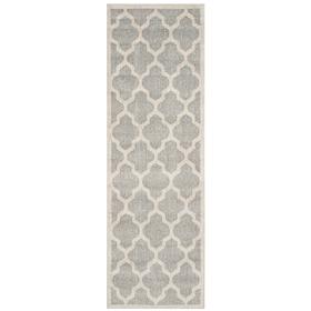 Safavieh Amherst Treena 2-1/4' x 21' Rug