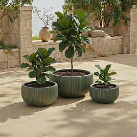 Safavieh Anita 3-Piece Fiber Clay Planter Pots