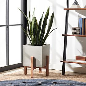 Safavieh Borsla Planter