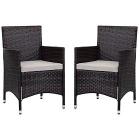 Safavieh Kendrick Set of 2 Casual Outdoor Chairs