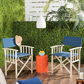 Safavieh Laguna Director Chairs - Set of 2