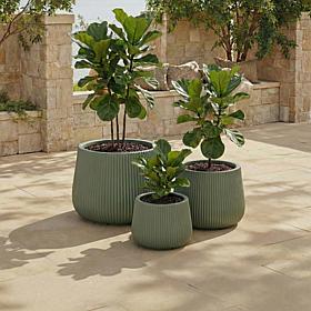 Safavieh Sara 3-Piece Green Fiber Clay Planter Pots