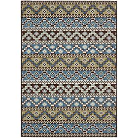 Safavieh Veranda Brigid Rug - 4' x 5'7" 
