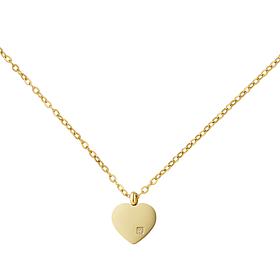 Stately Steel Stainless Steel CZ Accent Heart Pendant Necklace