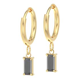 Stately Steel Stone Hoop Dangle Earrings