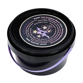 Tweak'd by Nature 16oz Wild Frangipani Hair Cleansing Volumizing Scrub