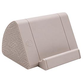VYBZ Wireless Induction Speaker with Charging Cable