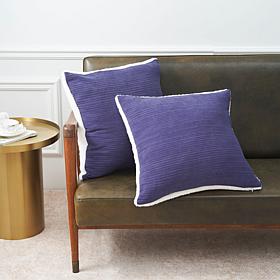 Warm & Coxy Luxe Chenille 2-piece 20" x 20" Decorative Pillow Set