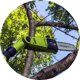 Pole saws