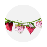 Summer crafts