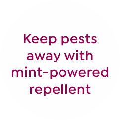 keep pests away