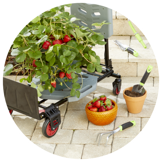 Gardening tools